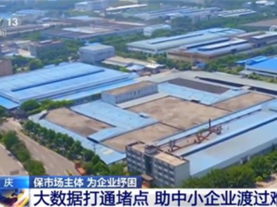 重庆:大数据打通堵点 助中小企业渡过难关