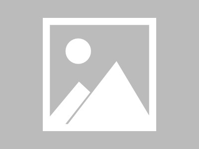 重庆东金投资顾问有限公司:国家队大举买进券商股